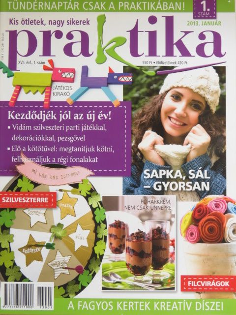 Praktika 2013. január [antikvár]