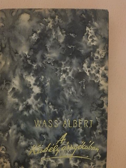 Wass Albert - A kastély árnyékában [antikvár]