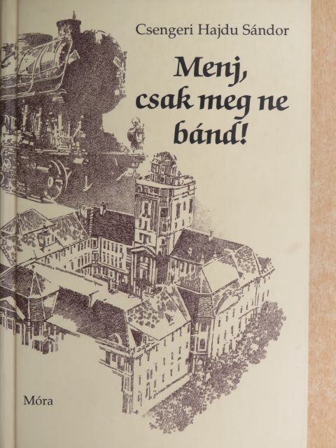 Csengeri Hajdu Sándor - Menj, csak meg ne bánd! [antikvár]
