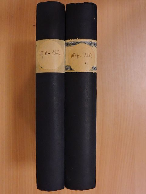 Nikolaus Lenau - Lenaus Werke I-II. (gótbetűs) [antikvár]
