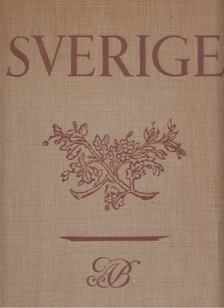 Eigil Schwab - Sverige [antikvár]