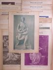 Benedek Rózsi - Magyar Lányok 1931-1932. (nem teljes évfolyam) [antikvár]