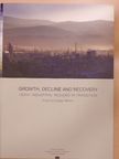 Growth, Decline and Recovery [antikvár]