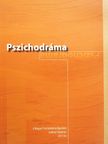 Aszalós Péter - Pszichodráma újság 2017. ősz [antikvár]