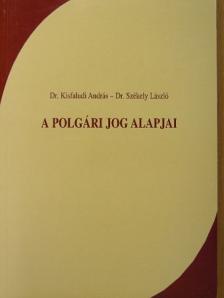 Dr. Kisfaludi András - A polgári jog alapjai [antikvár]