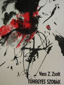 Vass Z. Zsolt - Tűhegyes szobák [antikvár]