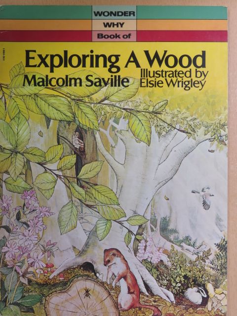 Malcolm Saville - Exploring a Wood [antikvár]