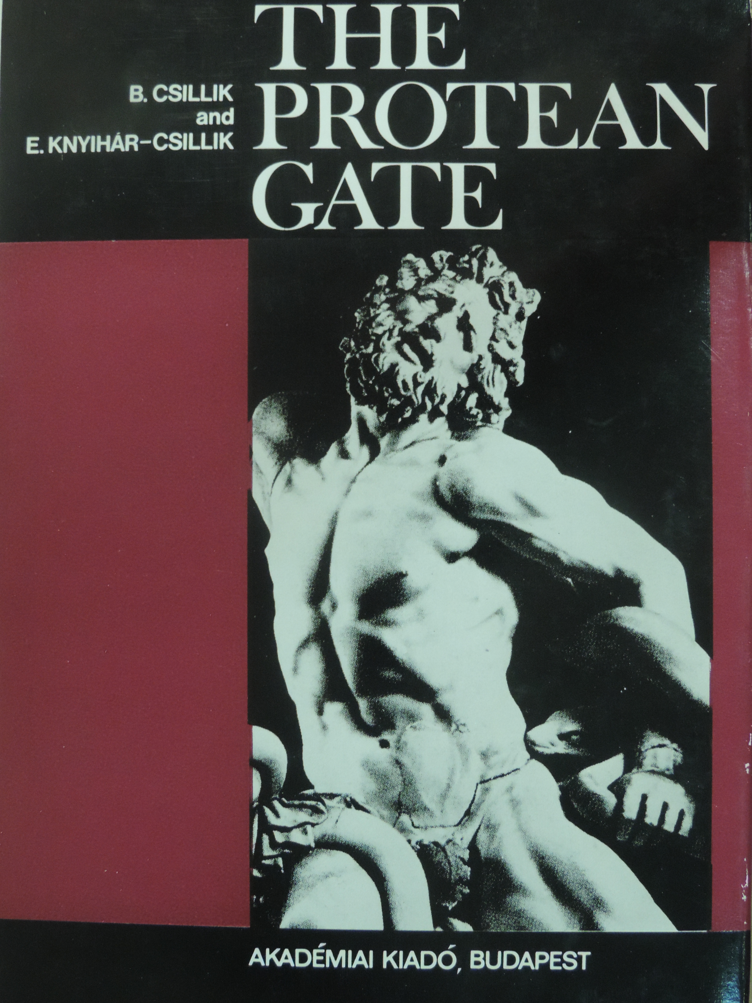 Dr. Csillik Bertalan - The protean gate [antikvár]