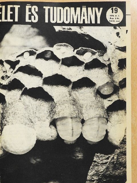 Dr. Pirityi Ottó - Élet és Tudomány 1976. (nem teljes évfolyam) [antikvár]