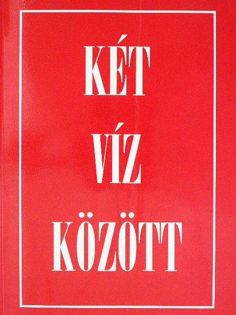 Bárth Dániel - Két víz között [antikvár]