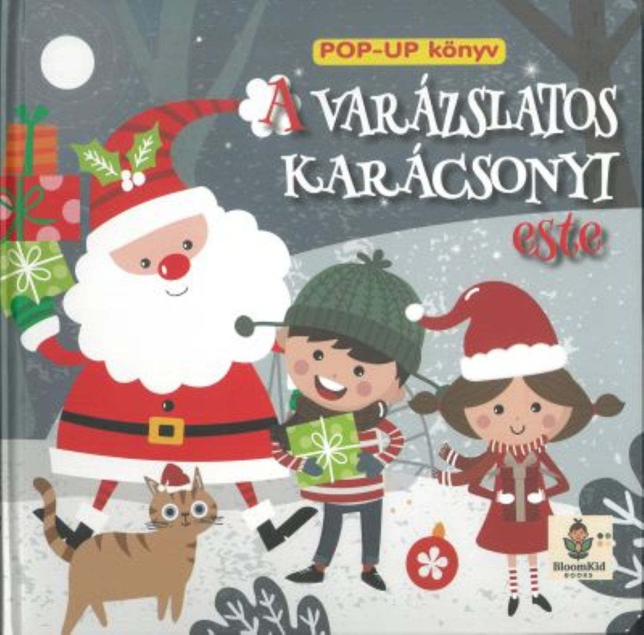 Varázslatos karácsonyi este - Pop-Up könyv