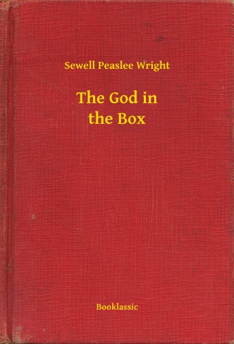Wright Sewell Peaslee - The God in the Box [eKönyv: epub, mobi]