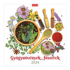 20T0098-016 - GYÓGYNÖVÉNYEK, FŰSZEREK FALINAPTÁR - 2024
