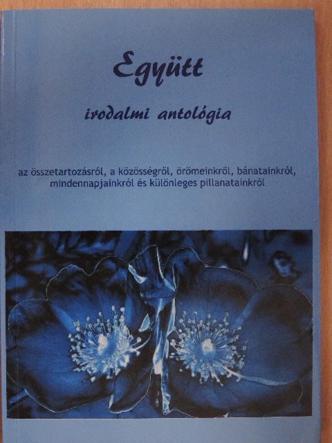 Baczó Zsolt - Együtt [antikvár]