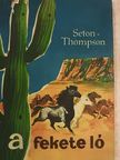 Ernest Seton-Thompson - A fekete ló [antikvár]
