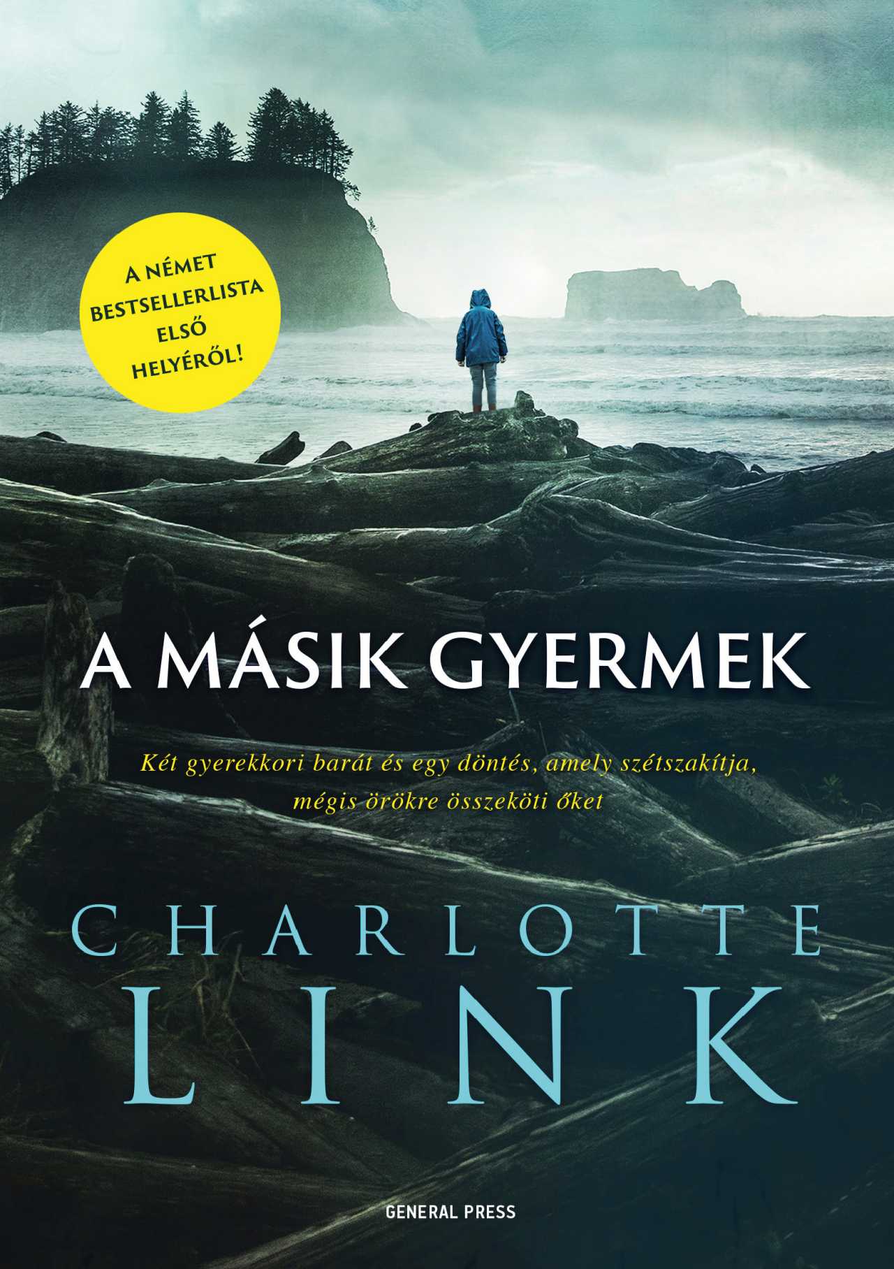 Charlotte Link - A másik gyermek [raktárvásár]