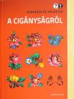 Fleck Gábor - Kérdések és válaszok a cigányságról [antikvár]