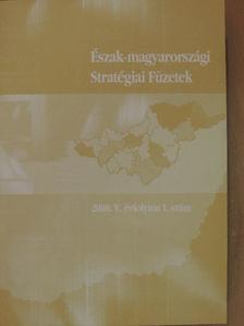 Győrffy Ildikó - Észak-magyarországi Stratégiai Füzetek 2008/1 [antikvár]