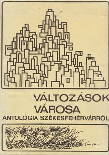 Mekis János - Változások városa [antikvár]