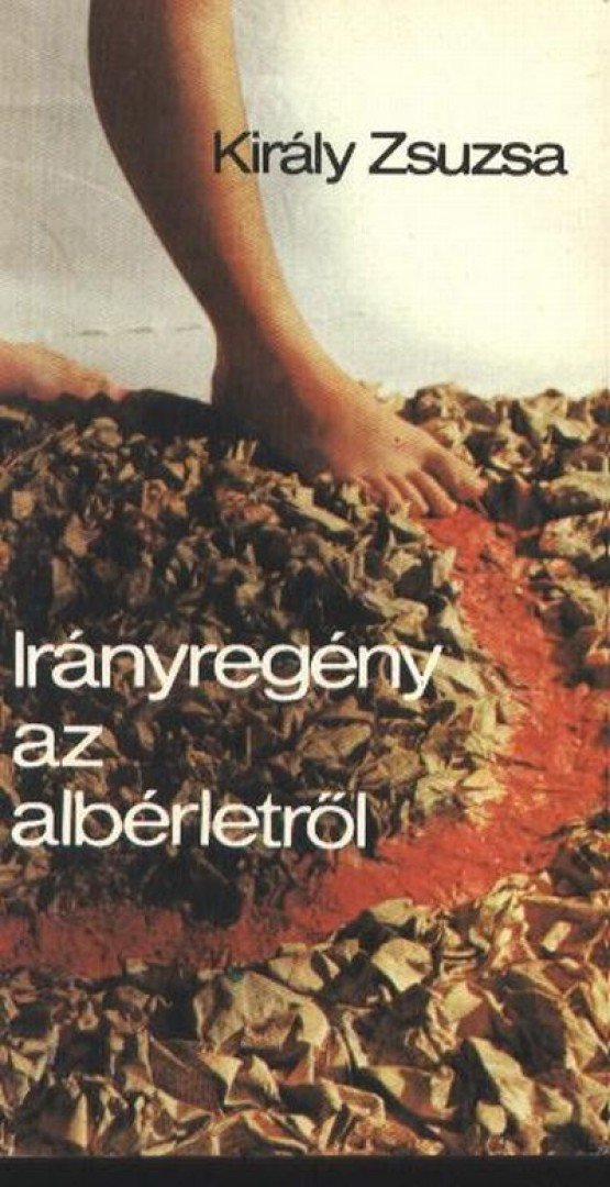 Király Zsuzsa - Irányregény az albérletről [antikvár]
