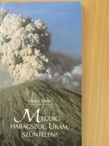 Sándor Endre - Meddig haragszol, Uram, szüntelen? [antikvár]