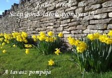 Kató Győrfiné - Kató versek Szép gondolatok gyöngyei IV. A tavasz pompája [eKönyv: epub, mobi]