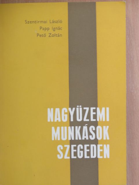 Papp Ignác - Nagyüzemi munkások Szegeden [antikvár]