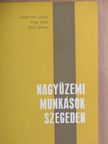 Papp Ignác - Nagyüzemi munkások Szegeden [antikvár]