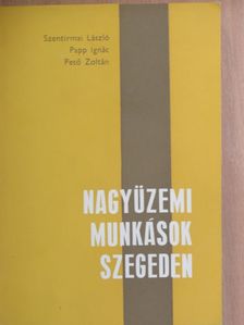 Papp Ignác - Nagyüzemi munkások Szegeden [antikvár]