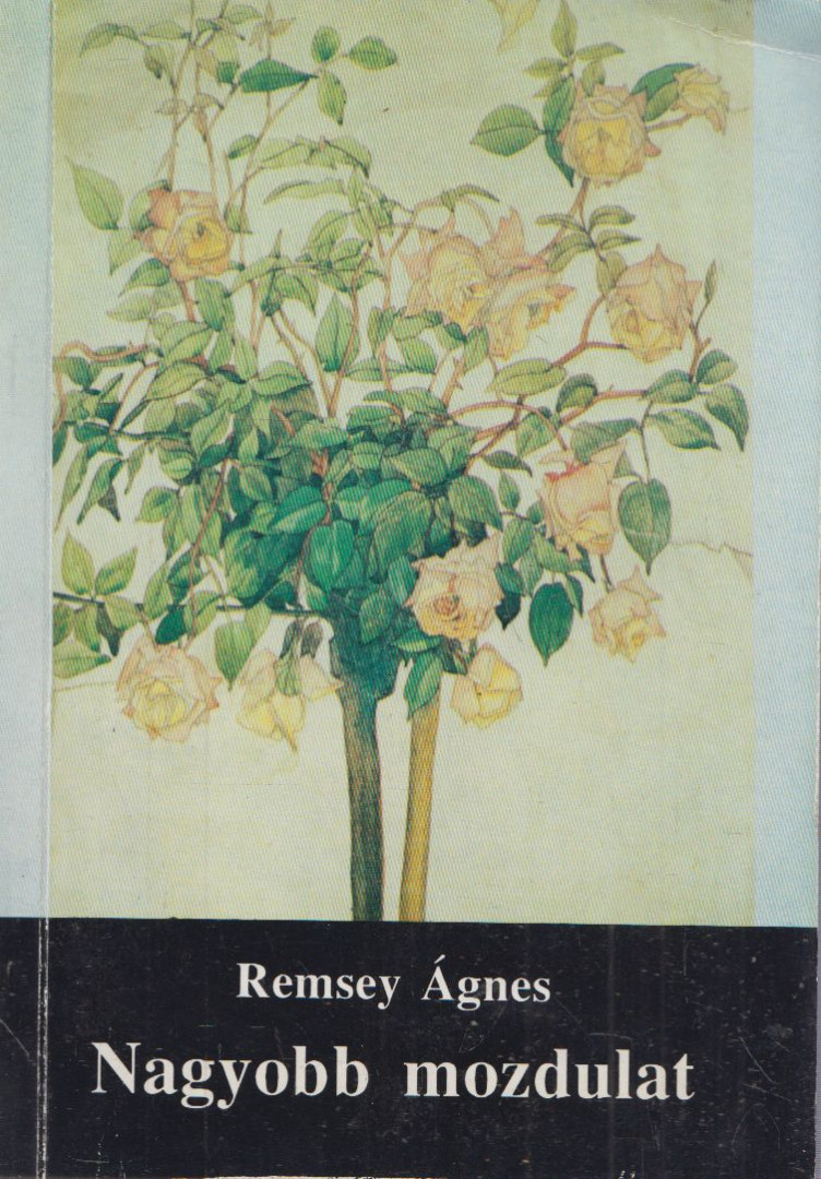 Remsey Ágnes - Nagyobb mozdulat [antikvár]