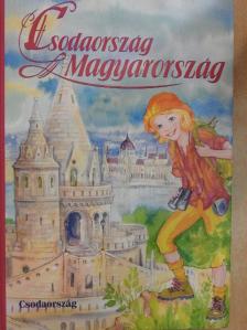 Csörgő Anikó - Csodaország Magyarország [antikvár]