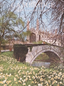 Olwen Hedley - Cambridge [antikvár]