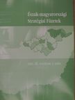 Bakos István - Észak-magyarországi Stratégiai Füzetek 2006/2. [antikvár]