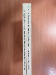 Angol-német-magyar munkagazdaságtani és oktatásgazdaságtani magyarázó szótár I-II. [antikvár]