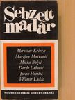 Almási Miklós - Sebzett madár [antikvár]
