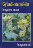 Varga Gizella M. Flávia - Gyümölcstermő élet tengeren innen tengeren túl [antikvár]