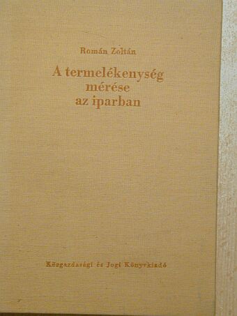 Román Zoltán - A termelékenység mérése az iparban [antikvár]