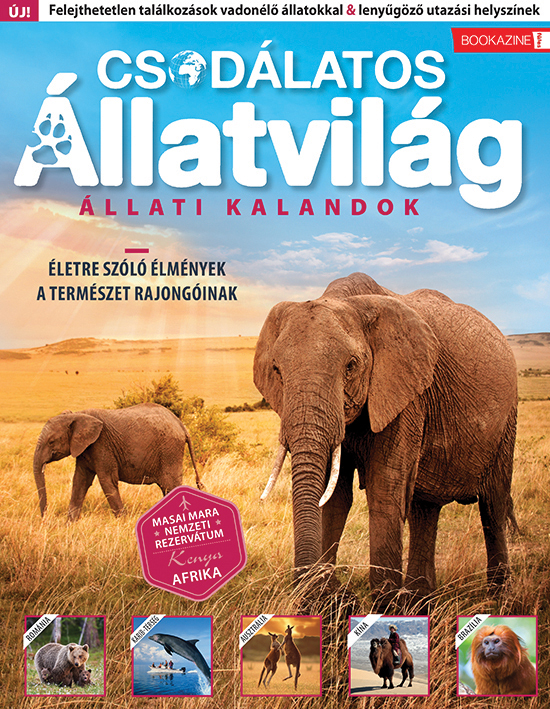 Brezvai Edit - szerk. - Füles Bookazine - Csodálatos álllatvilág - Állati kalandok