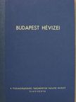 Dr. Kessler Hubert - Budapest hévizei [antikvár]