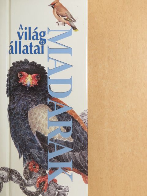 David Chandler - Madarak [antikvár]