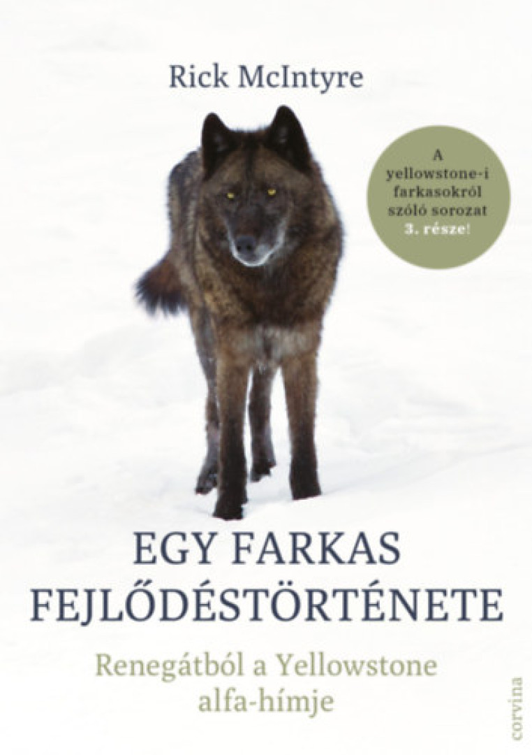 Rick McIntyre - Egy farkas fejlődéstörténete [antikvár]