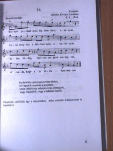 Dr. Kálmán Lajos - A Kecskemét környéki népdalkincs kistükre [antikvár]