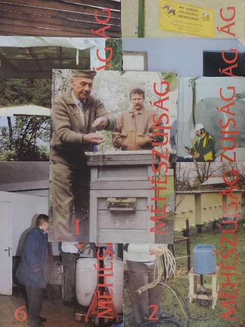 Bánkúti László - Méhészújság 1996. (nem teljes évfolyam) [antikvár]