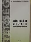 Bálint Blanka - Székelyföldi mozaik [antikvár]