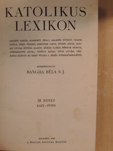 Katolikus lexikon III. (töredék) [antikvár]