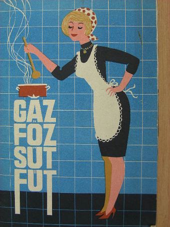 Gáz - főz, süt, fűt [antikvár]