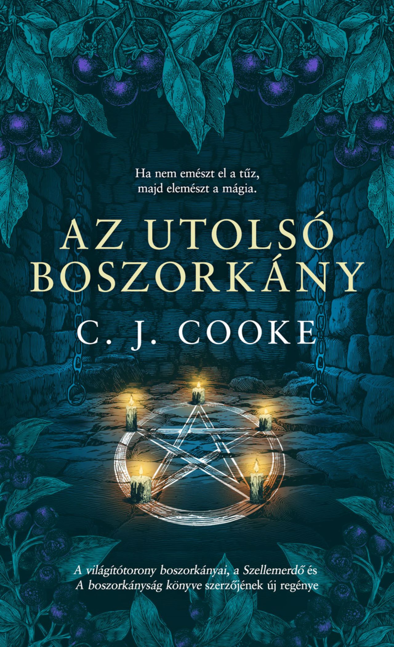 C. J. Cooke - Az utolsó boszorkány
