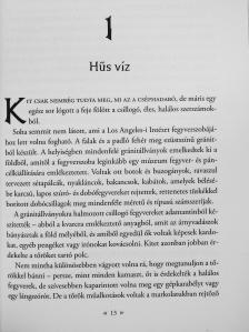 Cassandra Clare - Árnyak ura [antikvár]