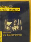 Rüdiger Bernhardt - Erläuterungen zu Günter Grass Die Blechtrommel [antikvár]