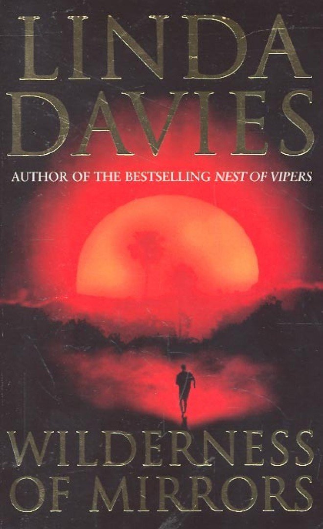 Davies, Linda - Wilderness of Mirrors [antikvár]